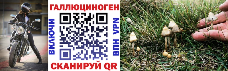 Купить  Райчихинск  Псилоцибиновые грибы Magic Shrooms 